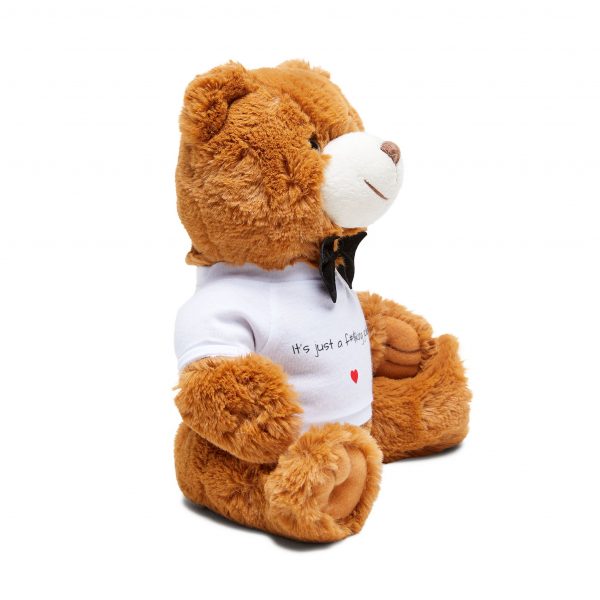 Bear Buddy - Image 2